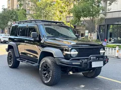 2021 Tank 300 Off-road 2.0T Conqueror, чёрный — фото 3