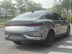 2025 BYD Qin PLUS EV 510km Smart Driving Leading — фото 11