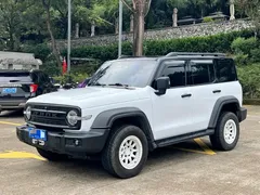 2021 Tank 300 2.0T Off-road Explorer — фото 1