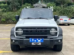 2021 Tank 300 2.0T Off-road Explorer — фото 2