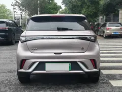 2023 BYD Dolphin 420km Fashion — фото 12