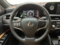 2022 Lexus ES 300h Excellence, белый — фото 14