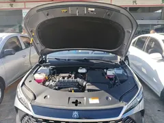 2025 BYD Qin PLUS DM-i PHEV 120KM — фото 20