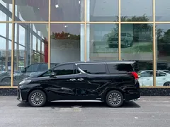 2020 Lexus LM 300h 4, чёрный — фото 9