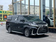 2020 Lexus LM 300h 4, чёрный — фото 18