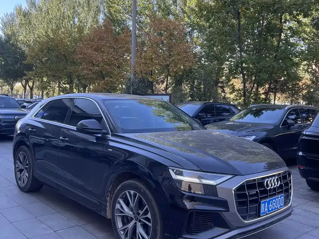 2021 Audi Q8 55 TFSI Luxury Dynamic