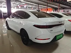 2025 BYD Qin PLUS EV Smart Driving 420km Leading, белый — фото 5