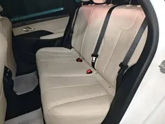 2025 BYD Qin PLUS EV Smart Driving 420km Leading, белый — фото 17