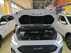 2019 Haval M6 1.5T DCT 2WD Value, белый — фото 20