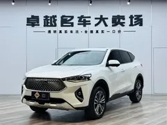 2021 Haval F7 2.0T 2WD Fan, белый — фото 2