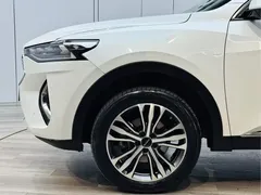 2021 Haval F7 2.0T 2WD Fan, белый — фото 27