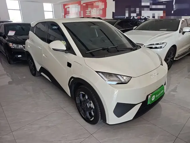 2025 BYD Seagull Smart Driving 305km Freedom