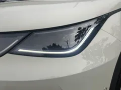 2025 BYD Dolphin Smart Driving 420km Freedom EV — фото 7