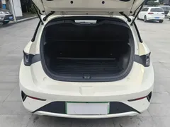 2025 BYD Dolphin Smart Driving 420km Freedom EV — фото 8