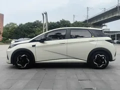 2025 BYD Dolphin Smart Driving 420km Freedom EV — фото 9