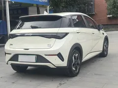2025 BYD Dolphin Smart Driving 420km Freedom EV — фото 10