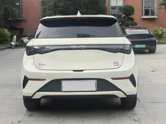2025 BYD Dolphin Smart Driving 420km Freedom EV — фото 11