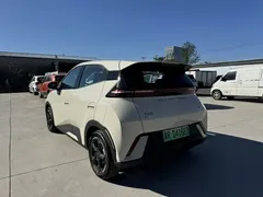 2024 BYD Seagull EV Glory 405km Flying, белый — фото 12