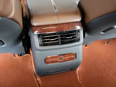2022 Hongqi Guoyao 4.0T Premium Flagship 4 seats, чёрный — фото 19