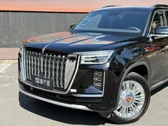 2022 Hongqi Guoyao 4.0T Premium Flagship 4 seats, чёрный — фото 26