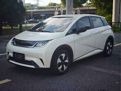 2025 BYD Dolphin Smart Driving 420km Freedom EV