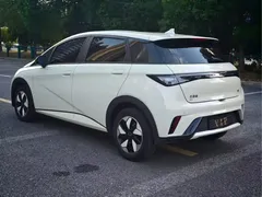 2025 BYD Dolphin Smart Driving 420km Freedom EV, белый — фото 9