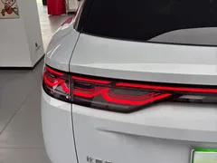 2026 BYD Song Ultra EV 605km, белый — фото 13