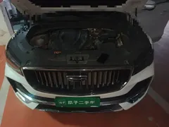 2021 Geely Monjaro 2.0TD DCT 2WD EVO Premium, белый — фото 11