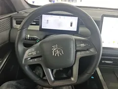 2025 BYD Qin PLUS DM-i PHEV 120KM — фото 11