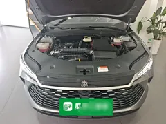 2025 BYD Qin PLUS DM-i PHEV 120KM — фото 20