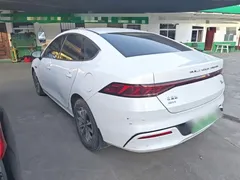 2024 BYD Qin PLUS Honor DM-i PHEV 55km Leading, белый — фото 5