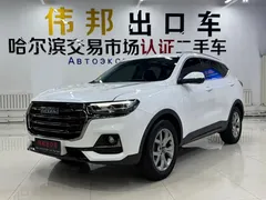 2021 Haval H6 1.5T AT Champion, белый — фото 1