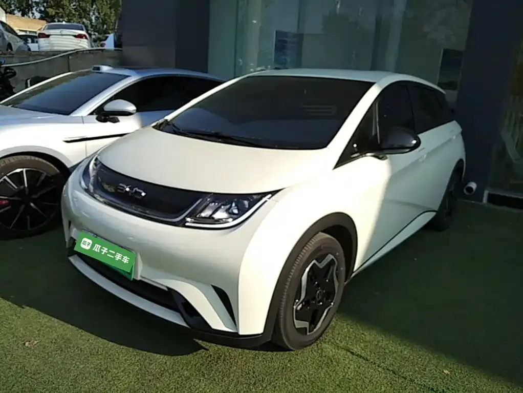2025 BYD Dolphin EV 420km Active