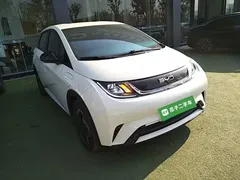 2025 BYD Dolphin EV 420km Active — фото 4