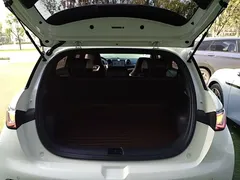 2025 BYD Dolphin EV 420km Active — фото 19