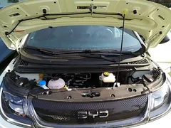 2025 BYD Dolphin EV 420km Active — фото 20