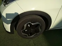 2025 BYD Dolphin EV 420km Active — фото 23