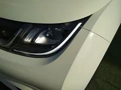 2025 BYD Dolphin EV 420km Active — фото 24