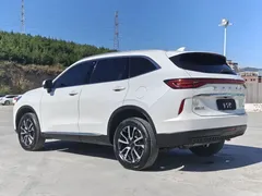 2022 Haval H6 3rd Gen 1.5T AT 2WD Max, белый — фото 9
