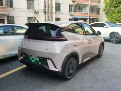 2024 BYD Seagull EV 305km Honor Freedom — фото 5