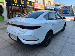 2025 BYD Qin PLUS EV 510KM Smart Driving Advance, белый — фото 8