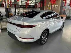 2025 BYD Qin PLUS DM-i PHEV 120KM — фото 8