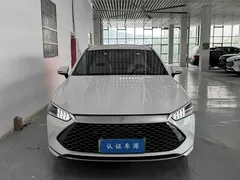 2024 BYD Qin PLUS DM-i PHEV 55km Honor Excellence, белый — фото 4