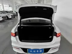 2024 BYD Qin PLUS DM-i PHEV 55km Honor Excellence, белый — фото 9