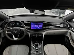 2024 BYD Qin PLUS DM-i PHEV 55km Honor Excellence, белый — фото 13