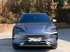 2024 BYD Song PLUS Honor DM-i PHEV 110km Flagship — фото 2