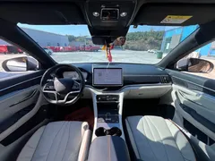 2024 BYD Song PLUS Honor DM-i PHEV 110km Flagship — фото 12