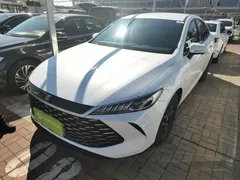 2025 BYD Qin PLUS DM-i PHEV Smart Driving 55km Leading, белый — фото 1
