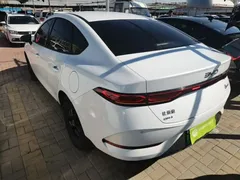 2025 BYD Qin PLUS DM-i PHEV Smart Driving 55km Leading, белый — фото 5