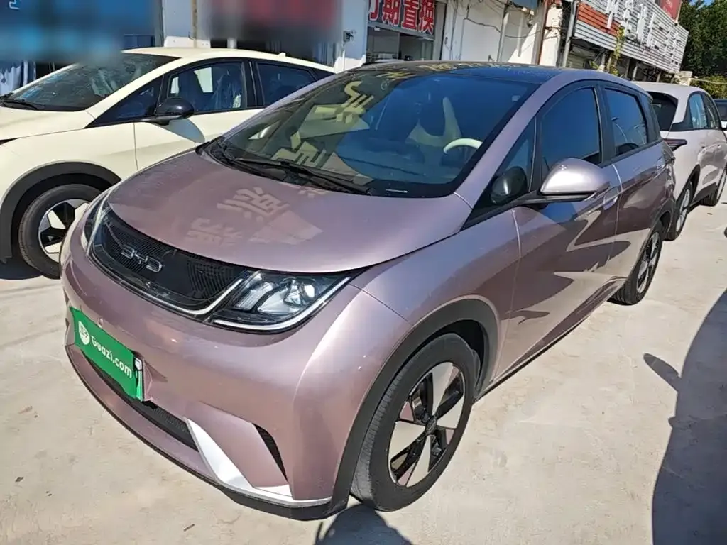 2023 BYD Dolphin 420km Fashion